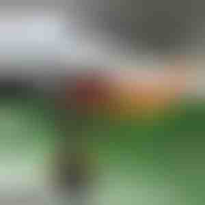 Auto soojendus ja esiklaasi sulataja | TURBOCUP