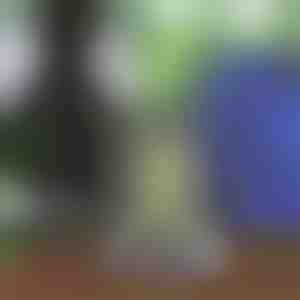 Unisex pingutuspaelaga seljakott | STRIPEBACK