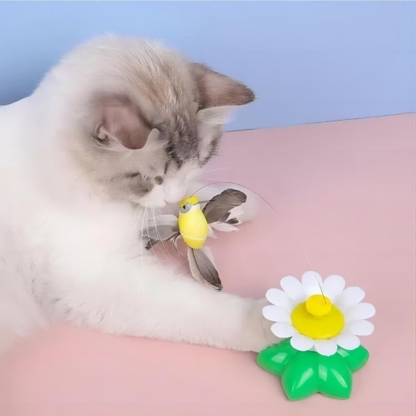 BIRDIETOY