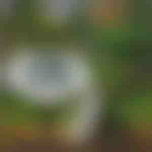 Päikesepõrandavalgustid välitingimustesse (3 tk) | LUMIGARD