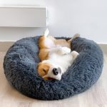 COMFYDEN