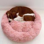 COMFYDEN