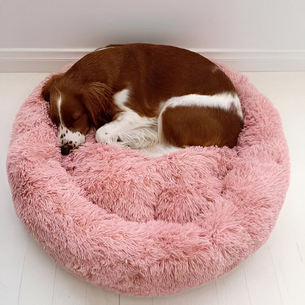 COMFYDEN