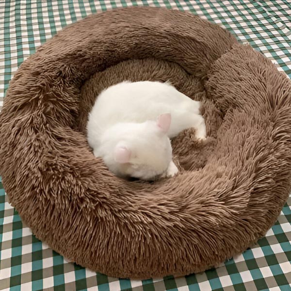 COMFYDEN