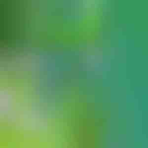 Tööriist umbrohu eemaldamiseks | SPINOUT