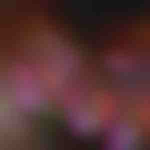 Päikesepatareiga aiavalgustid | BLOSSUN