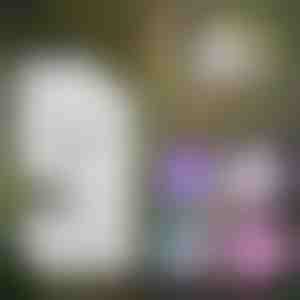 Kaasaskantav laste mikroskoop | MINISCOPE