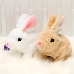 BUNNZY