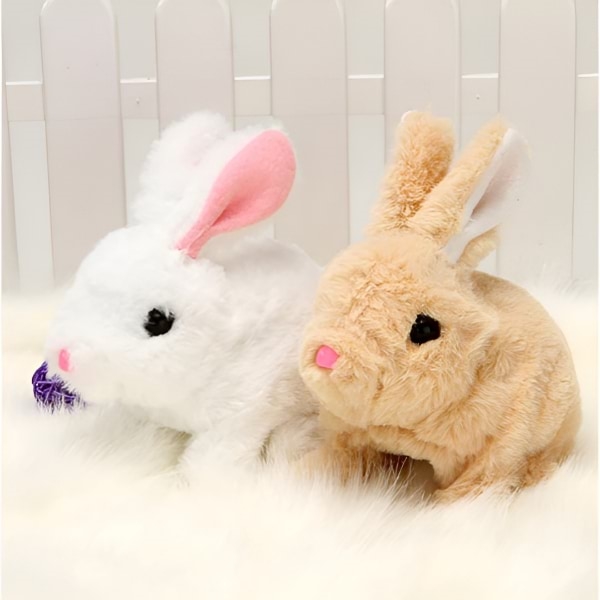 BUNNZY