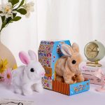 BUNNZY