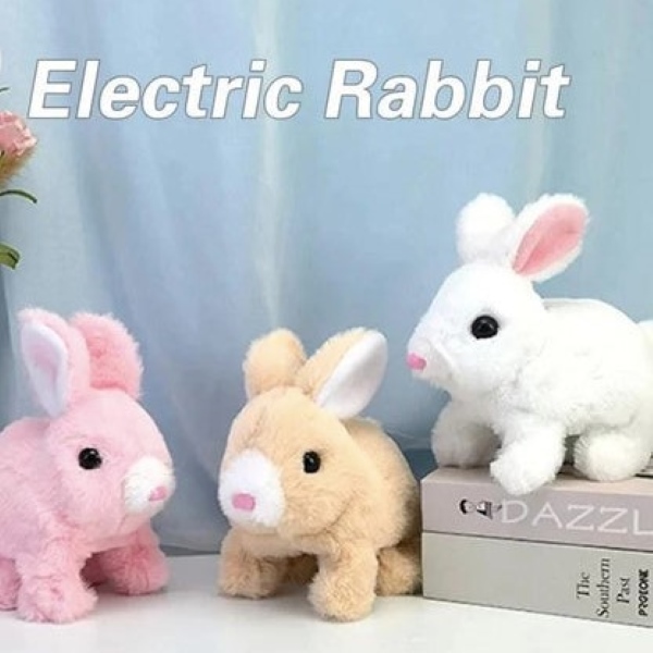 BUNNZY