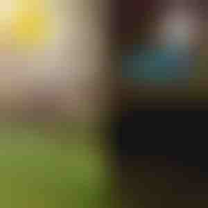 Päikesepatareiga troopilised aiavalgustid | LUMIPALM