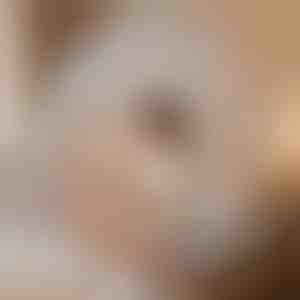 Sääsevõrk magamistelk, mis hoiab sind kaitstuna | BUGISTOP