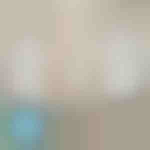 Lakanahoidjad, mis ei libise kunagi (4 tk) | EVOHOLD