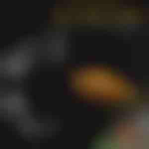 Akvariumi söögialuse komplekt | FINTROL