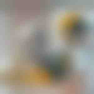 Tugev torude faasimispuuride komplekt (3 tk) | PIPEDRILL