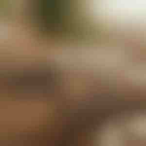 Magnetiline liimiga kaablikorraldaja | CABLIP