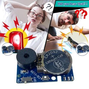 Nähtamatu ritsikaheli nali | CRICKLY